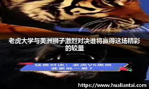 悟空·体育官网入口